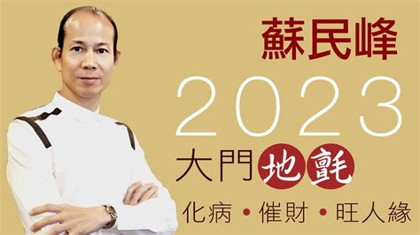 2023年門口地毯顏色蘇民峰